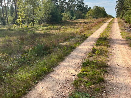 23-09-17 15-15-00 7016